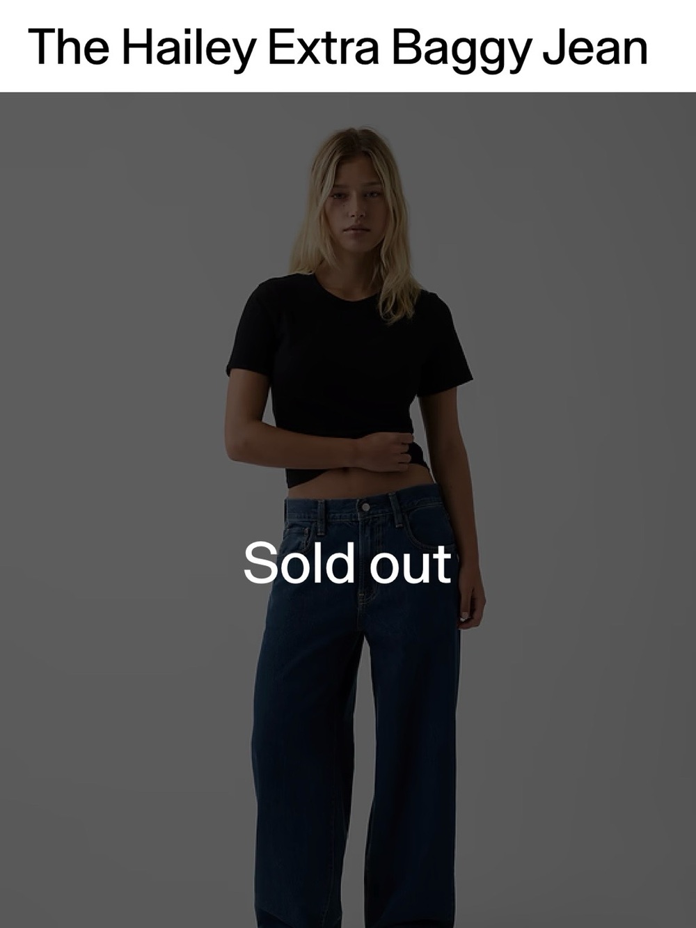 Hailey Bieber Extra Baggy Jeans NWT